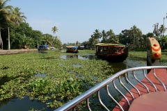 Alleppey