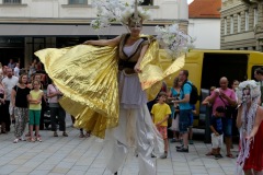 Random Street Performance