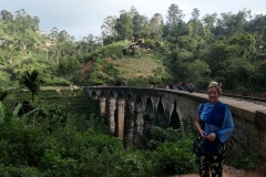 Nine Arches