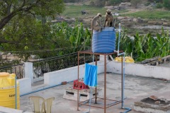 Hampi Monkeys