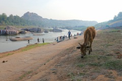 Tungabhadra River