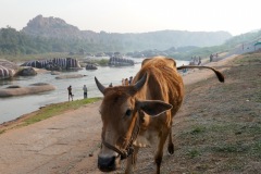 Tungabhadra River