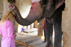 Temple Elephant Blessing