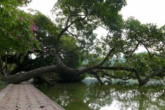 Around Hanoi