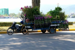 Kampot Center