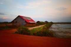 Fish Island Tour