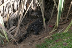 Kandy Lake Water Monitor