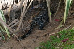 Kandy Lake Water Monitor