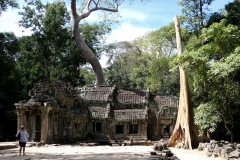 Ta Prohm