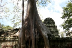 Ta Prohm