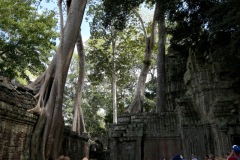 Ta Prohm