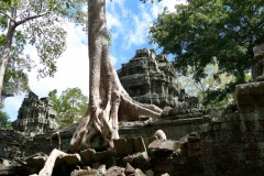 Ta Prohm