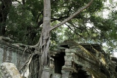 Ta Prohm