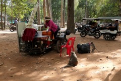 Angkor Archaeological Park