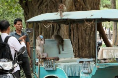 Angkor Archaeological Park