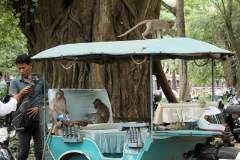 Angkor Archaeological Park