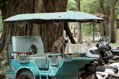 Angkor Archaeological Park