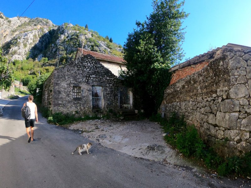 Kotor Montenegro Where To And How